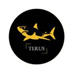 Terus-tron.jpg