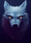 wolf.jpg
