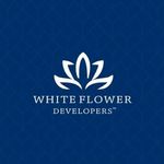 whiteflower01