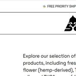 Profile (cathrinecassin)