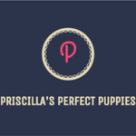 priscillaspuppy