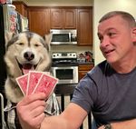 Profile (ChrisChandler)