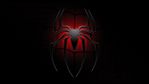 spidy_12jpg.jpg