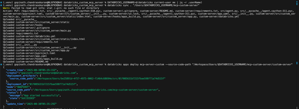 databricks app deploy