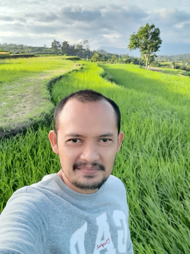 photo-sawah.JPG