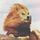 Oleg_T1A
