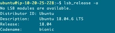 ubuntu_ip-10-20-25-228___