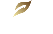 Profile (vitalisluxeclin)