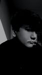Profile (qureshidev)