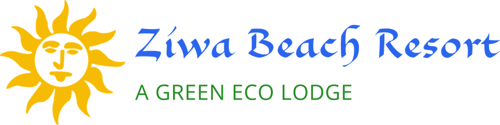 Ziwa-Logo-3.png