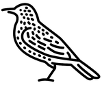 noun-starling-602248.png
