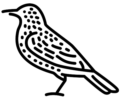 noun-starling-602248.png