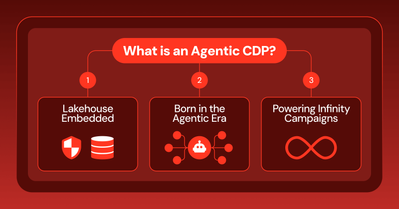 Agentic CDP.png