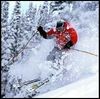 skipowder99.jpg
