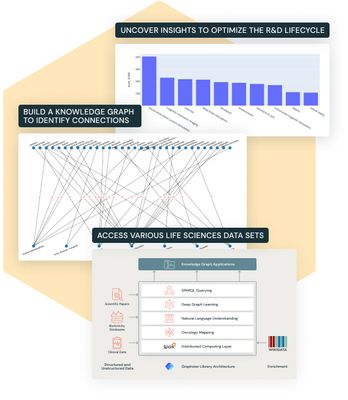 r_d-optimization-with-knowledge-graphs-inbody-graphics.jpg