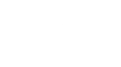 Databricks logo .png