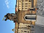 IMG_5405.jpeg