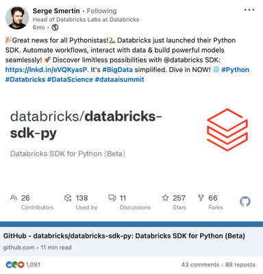 Databricks Python SDK launch