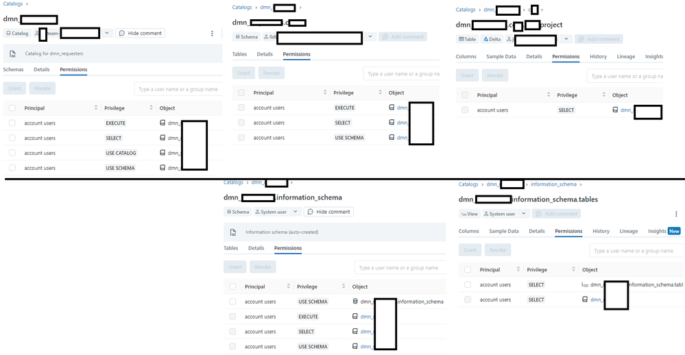 dbricks_catalog_perm