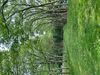 IMG_2307.jpeg