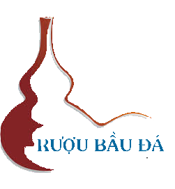 logo-ruou-bau-da.png
